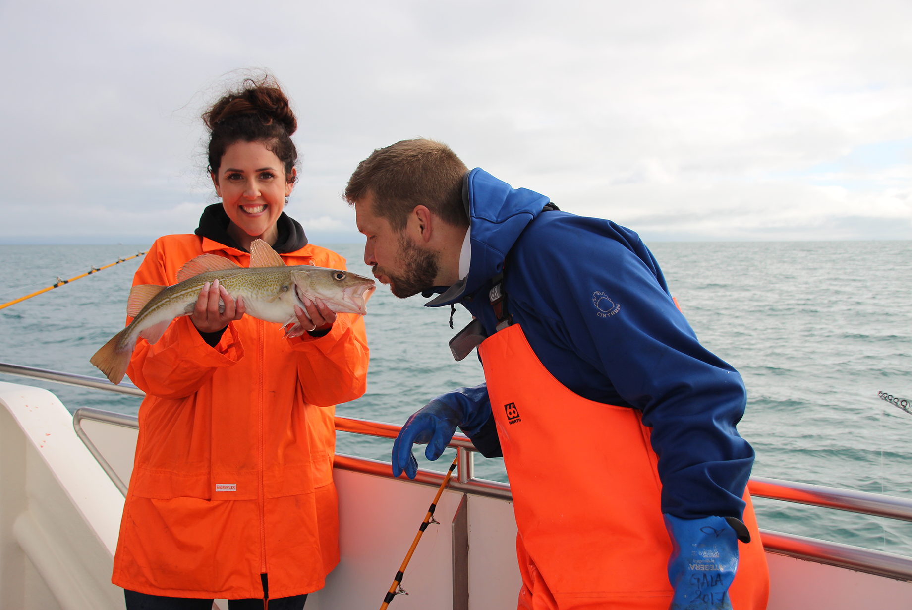 Sea Angling tours from Reykjavík, Iceland - Special Tours